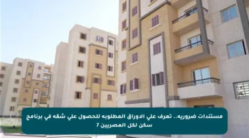 مستندات ضرورية.. تعرف على الأوراق المطلوبة للحصول على شقة في برنامج سكن لكل المصريين 7